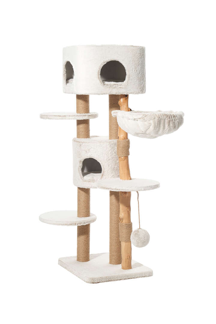 Nobby Kratzbaum Loya